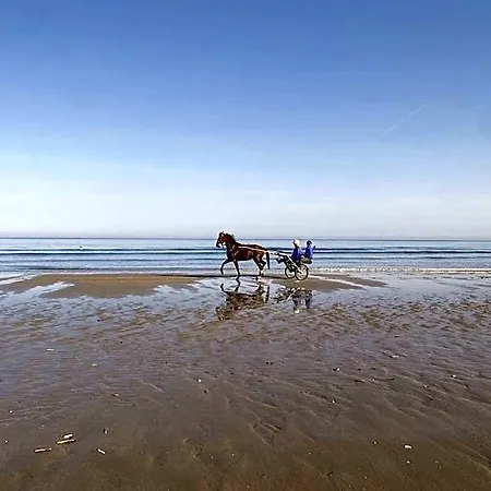 Ξενοδοχείο Le Petit Shamrock - Sur La Cabourg